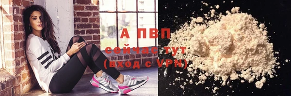 гидра Покачи