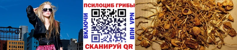 Галлюциногенные грибы Magic Shrooms Боровичи