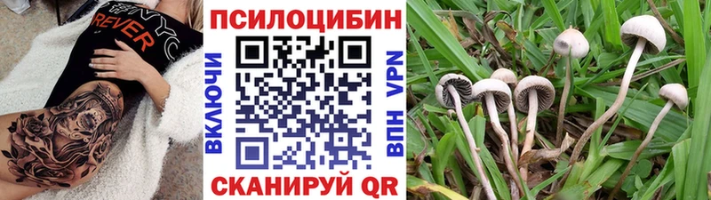 Псилоцибиновые грибы ЛСД  Боровичи 